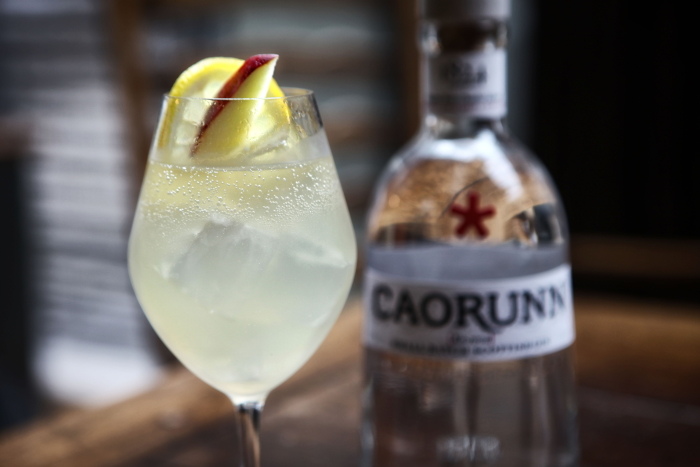 Caorunn Gin Cocktails Travel Distilled